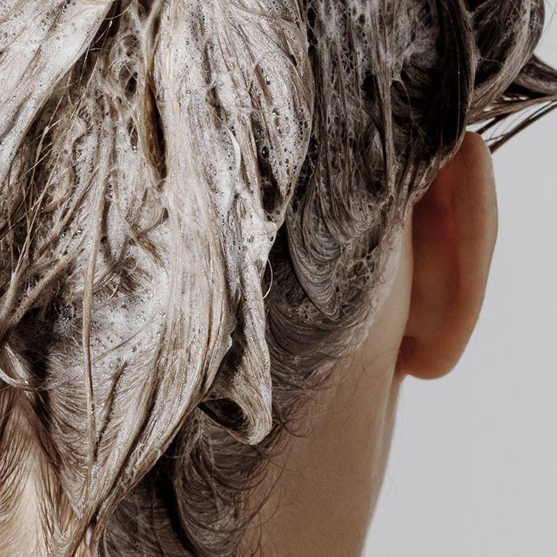 Shampoo Tea Tree Rosemary - Image 4